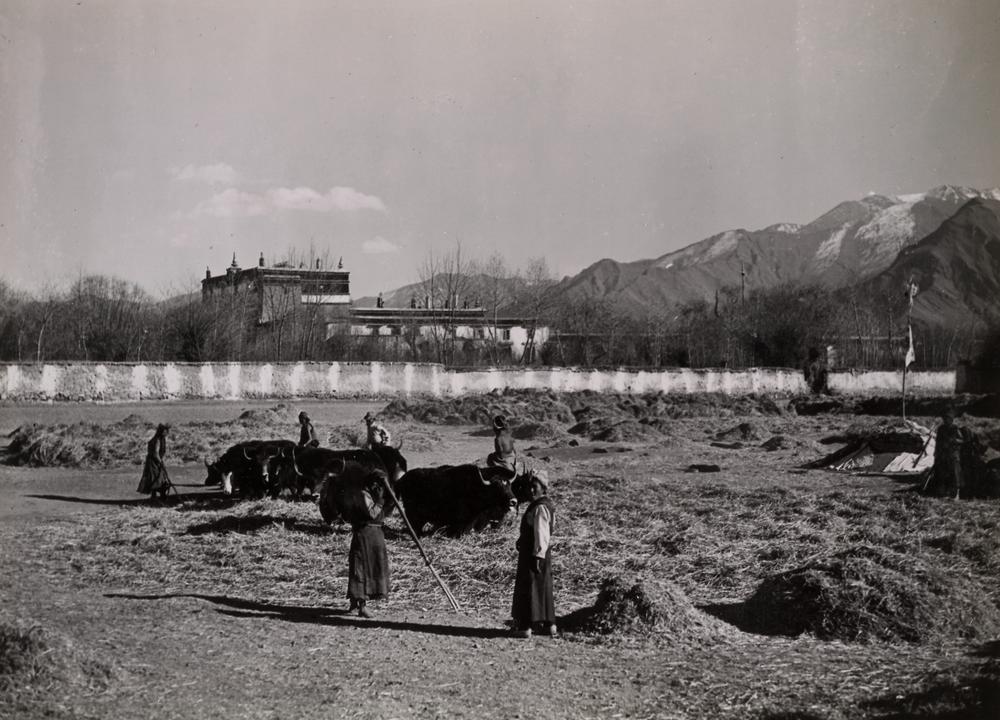 图片[1]-photographic print(black and white); album BM-1986-0313-0.1.194-China Archive